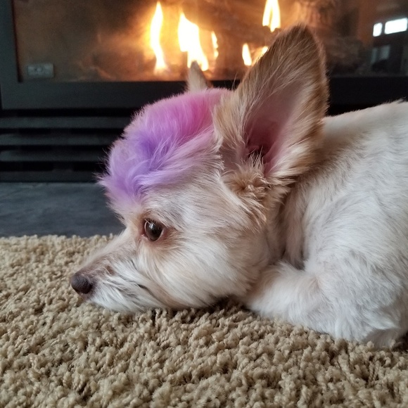 Did You Just Hit Like On An Item? - Picture 4 of 4